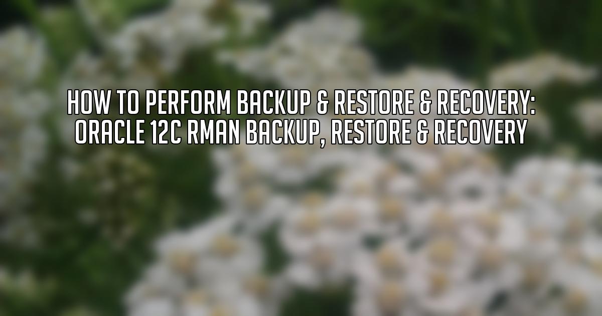 HOW TO PERFORM BACKUP RESTORE RECOVERY Oracle 12c RMAN Backup Restore Recovery